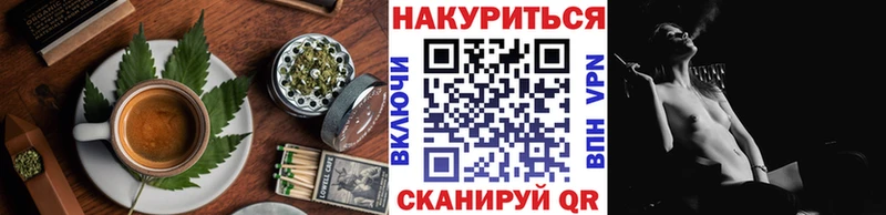 Canna-Cookies марихуана  Дно 
