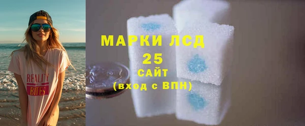 крисы Коряжма